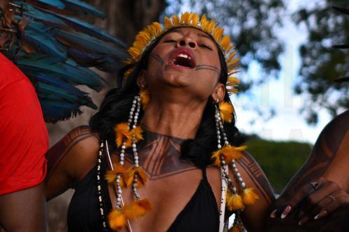 epa12774769 An indigenous woman celebrates after the Brazilian government repeals Decree 12600 in front of the Planalto Palace in Brasilia, Brazil, 24 February 2026. The decree had authorized concessions for the construction of three waterways in the Amazon and sparked protests from indigenous groups concerned about the effects of river dredging on their...