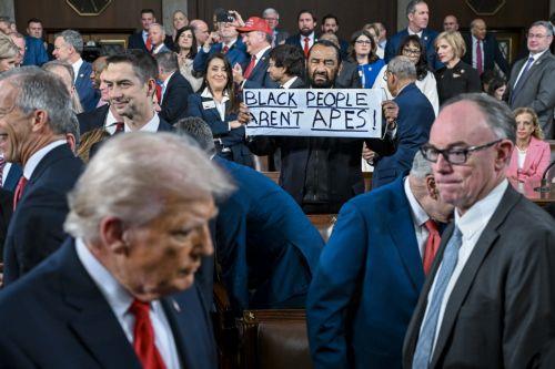 epaselect epa12775135 Representative Al Green (C), Democrat of Texas, holds a sign that reads 'Black people arent apes' before US President Donald J. Trump (L) delivers the first State of the Union address of his second term to a joint session of Congress in the House Chamber of the US Capitol in Washington, DC, USA, 24 February 2026.  EPA/KENNY HOLSTON /...