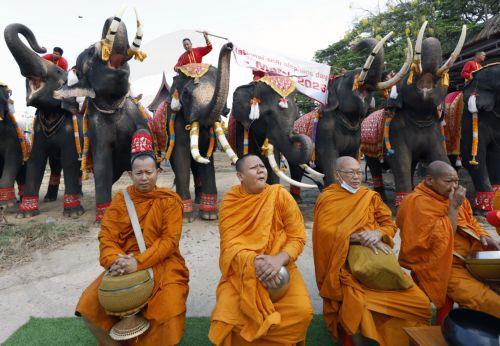 epa12816022 Elephants trumpet behind Thai Buddhist monks during a rite to mark the National Elephant Day at the Ayutthaya Elephant Palace and Royal Kraal in Ayutthaya, Thailand, 13 March 2026. National Elephant Day has been observed annually on 13 March since 1998 to promote the protection and conservation of Thai elephants.  EPA/RUNGROJ YONGRIT