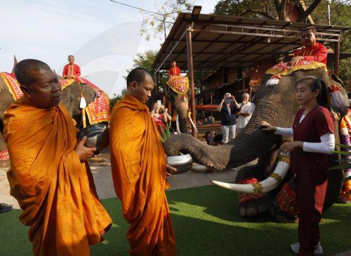 epa12816027 Thai Buddhist monks collect morning alms food from an elephant during a rite to mark the National Elephant Day at the Ayutthaya Elephant Palace and Royal Kraal in Ayutthaya, Thailand, 13 March 2026. National Elephant Day has been observed annually on 13 March since 1998 to promote the protection and conservation of Thai elephants.  EPA/RUNGROJ...