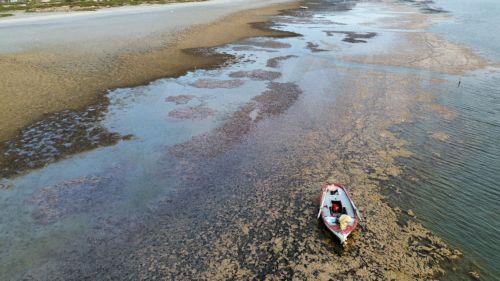Το φαινόμενο της άμπωτης εμφανίστηκε στο Ναύπλιο με τη θάλασσα να υποχωρεί πάνω από 200  μέτρα εδώ και αρκετές ημέρες, Δευτέρα 16 Μαρτίου 2026.  ΑΠΕ-ΜΠΕ/ΑΠΕ-ΜΠΕ/ΜΠΟΥΓΙΩΤΗΣ ΕΥΑΓΓΕΛΟΣ