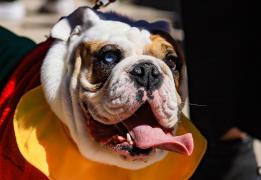 Η Αγία Νάπα υποδέχεται τη Διεθνή Έκθεση 