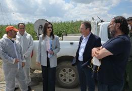 Cyprus continues animal culling over FMD