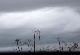 ​​​​​​​Kıbrıs’ta Hava Durumu