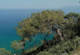 Με τον Δήμαρχο Ακάμα η πρώτη συνάντηση Η