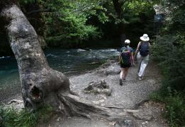 Conflicts leave mark on tourism as booki