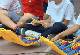 Cyprus primary education has 11.5 pupils