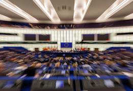 European Parliament reaffirms support fo