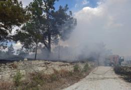 "Κόκκινος συναγερμός" από το Τμήμα Δασών