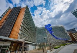 Inquiry underway into EC trade departmen
