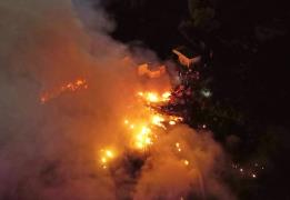 Forest fires risk on "Red Alert" level o