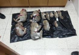 Καταδίκη 55 προσώπων και πρόστιμα €239 χ