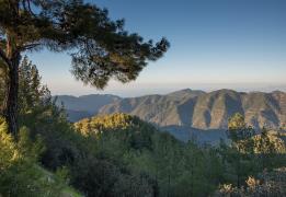 Greenhouse gases in Cyprus at historic h