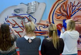 Cardiovascular the leading cause of deat