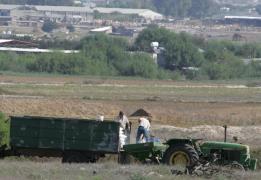 Κ. Καϊλας: Kαταστροφική η μείωση παροχής