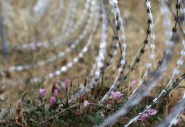 ΠτΔ: H Σ. Ουλουντάγ εργάστηκε με συνέπει