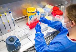 Η μικροβιακή αντοχή πιο εκτεταμένη από ό