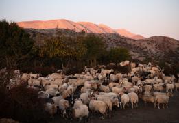 Cyprus’ bid to join World Network of Bio