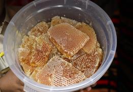 Extra-EU honey imports from Cyprus incre