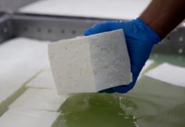 Ανησυχία πως η συνέχιση θανατώσεων θα επ