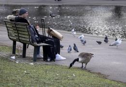 Στη χρήση αντιιικών ως εναλλακτική για τ