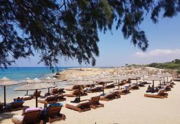 Early indications for 2026 bookings "ext