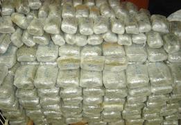 Over 300 kilos of cannabis and 80 kilos 