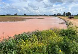 Report on Cyprus’ agrifood ecosystem pro