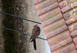 ​​​​​​​Kıbrıs’ta Hava Durumu