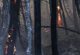 Μεγάλη πυρκαγιά στην Καλιφόρνια ανάγκασε