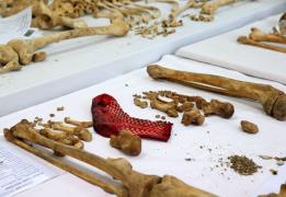 State approves €1m for identifying chemi