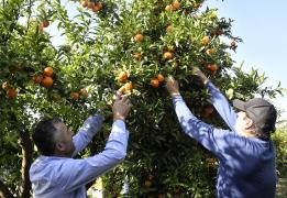 Improving farmers