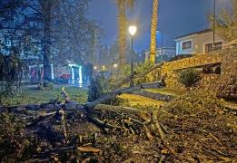 Σε 17 περιστατικά λόγω ισχυρών ανέμων αν
