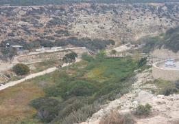 Θέμα ασφάλειας και όχι μετατροπής δασική