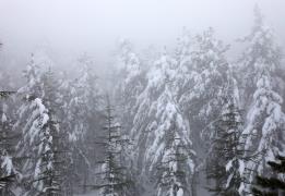 Χιονόπτωση στην κορυφή του Τροόδους επηρ