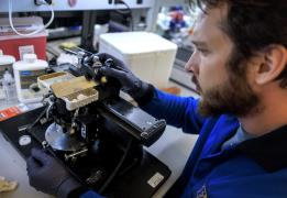 Επιστήμονες ανέκτησαν το γονιδίωμα ζώου 