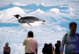 Η Αρκτική βίωσε την πιο θερμή χρονιά που
