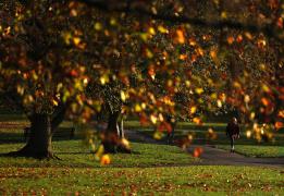Kıbrıs’ta Hava Durumu