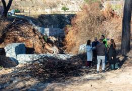 Bakan, orman yangını sonrası sel önleme 