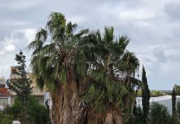 Σε επιφυλακή λόγω καιρού, καμιά ζημιά μέ