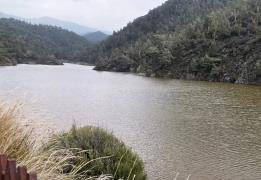 Total water reservoir storage at 39.3% i