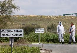 Sheep and goat farm in Mammari tests pos