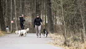 Η Φινλανδία πιο ευτυχισμένη χώρα στον κόσμο για ένατη χρονιά