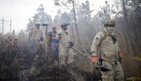 Δασική πυρκαγιά στις Ουνδούρες
