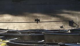 Εικόνες από το Γιοχάνεσμπουργκ
