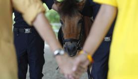 Θεραπευτικό πρόγραμμα ιππασίας για παιδιά με ειδικές ανάγκες στην Μπανγκόκ