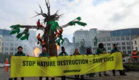 Διαμαρτυρία της Greenpeace έξω από την Ευρωβουλή