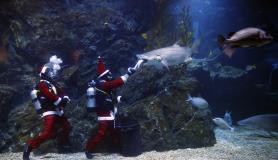 Χριστουγεννιάτικη εκδήλωση σε ενυδρείο στη Μπανγκόγκ