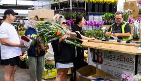 Προετοιμασίες για τον Άγιο Βαλεντίνο στο Σίδνεϊ