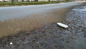 Το φαινόμενο της άμπωτης στο Ναύπλιο